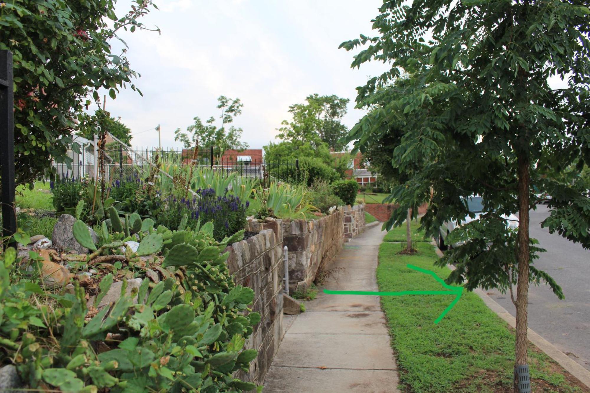 Capitol Hill Adj Home With Parking And Easy Access To Downtown Washington Eksteriør billede